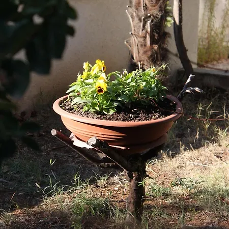 With A Parking Space - 7313 Apartment *